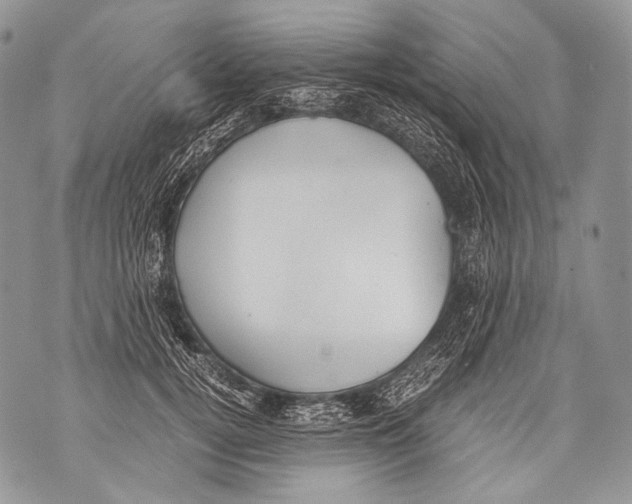 X0000071840752200607290107