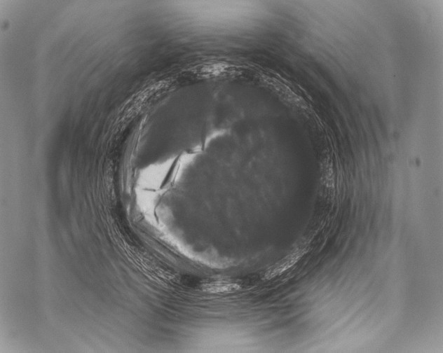 X0000071840754200607290107