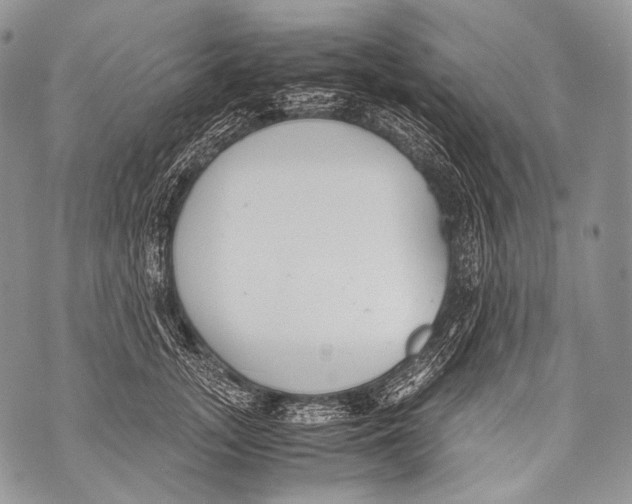 X0000071840755200607290107