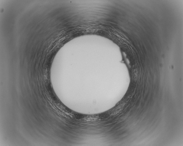 X0000071840756200607290107