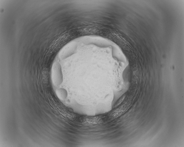 X0000071840757200607290107