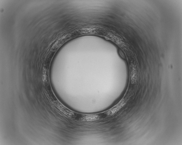 X0000071840758200607290107