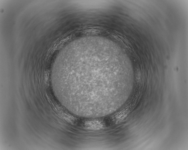 X0000071840759200607290107