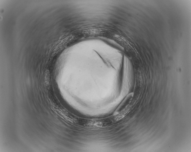 X0000071840760200607290107