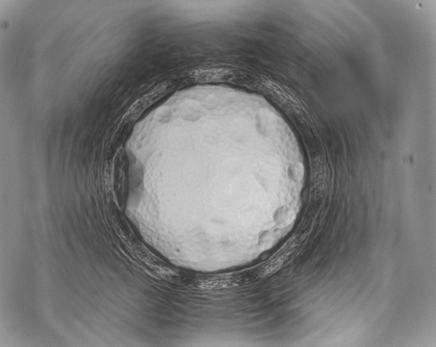 X0000071840761200607290107