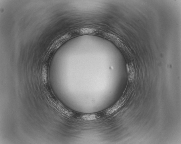 X0000071840762200607290107