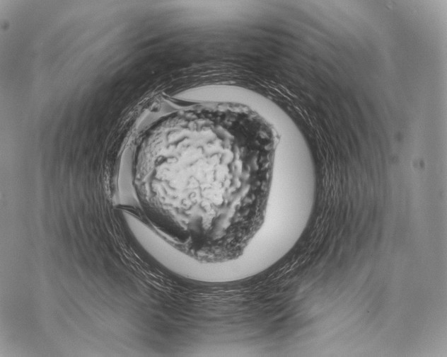 X0000071840763200607290107