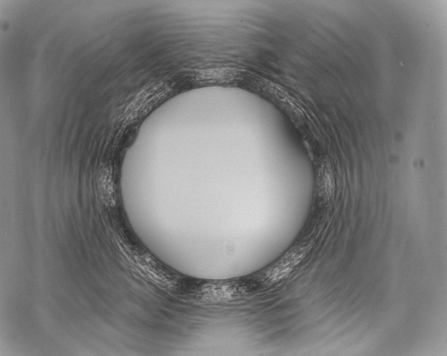 X0000071840764200607290107