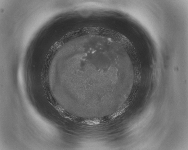 X0000071840765200607290107