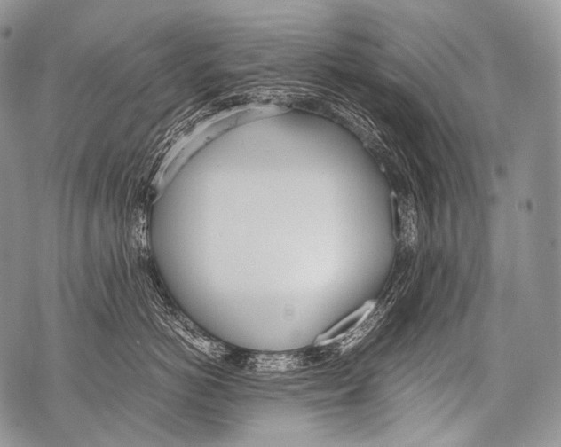 X0000071840766200607290107