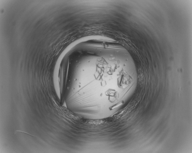 X0000071840767200607290107