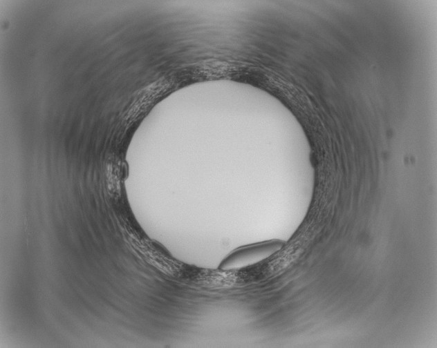 X0000071840768200607290107