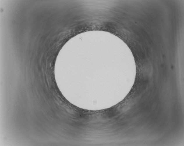 X0000071840769200607290107