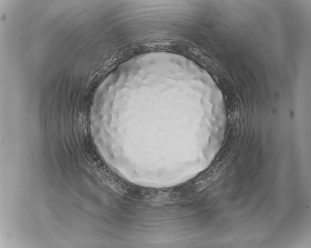 X0000071840772200607290106