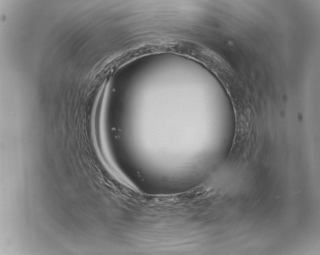 X0000071840773200607290106