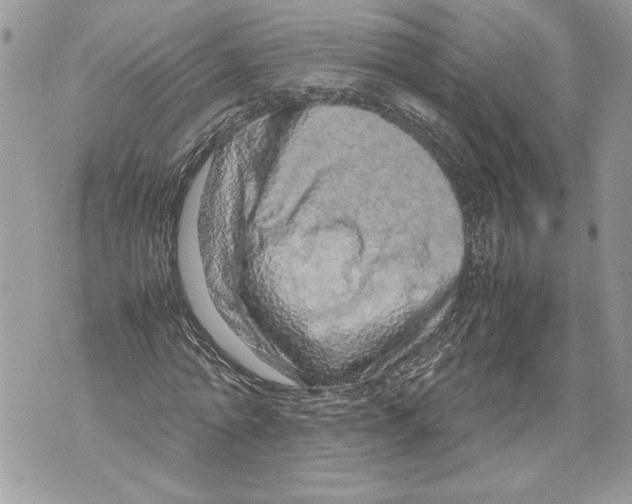 X0000071840774200607290106