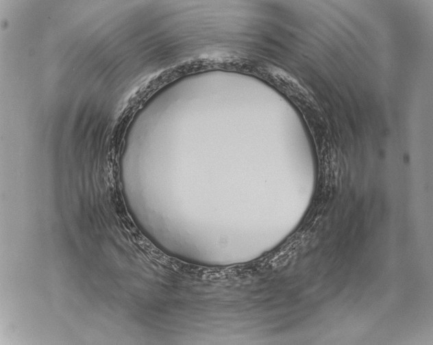 X0000071840776200607290106