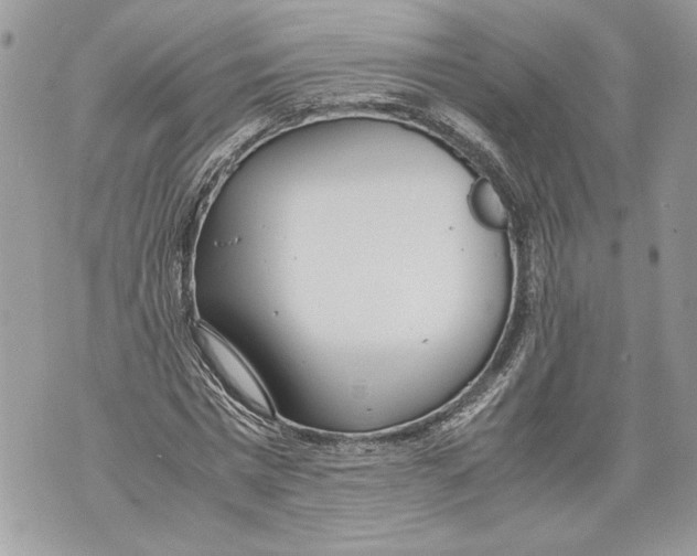 X0000071840777200607290106