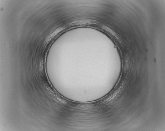 X0000071840778200607290106