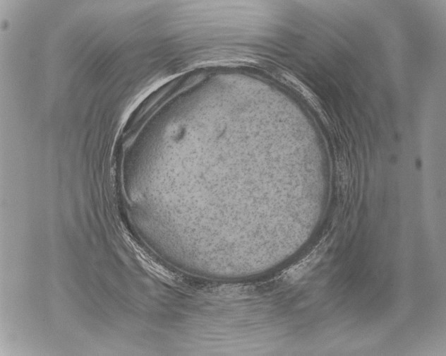 X0000071840779200607290106