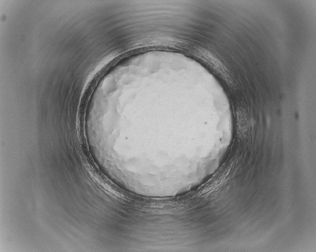 X0000071840780200607290106