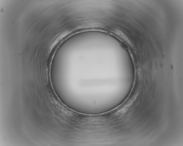 X0000071840781200607290106