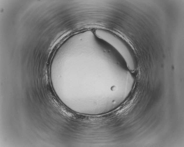 X0000071840782200607290106