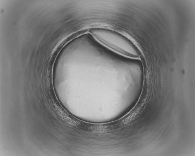 X0000071840783200607290106