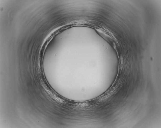 X0000071840784200607290106