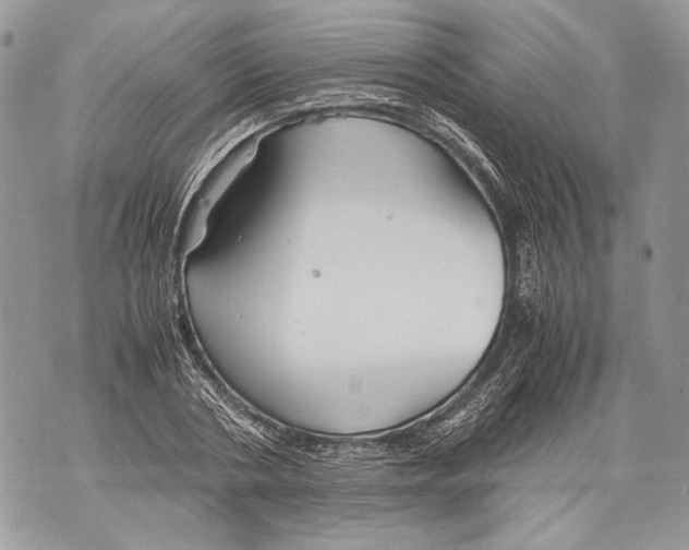 X0000071840786200607290106