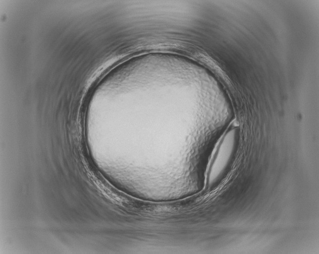 X0000071840787200607290106