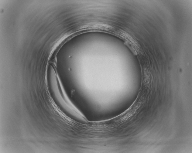 X0000071840788200607290106