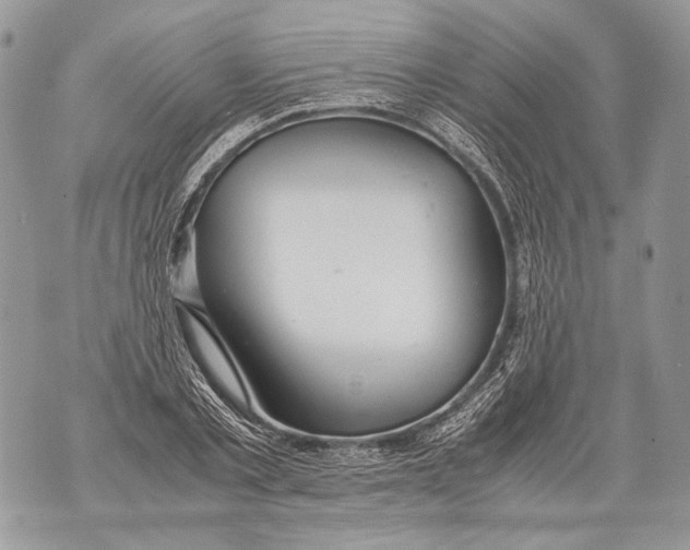 X0000071840789200607290106