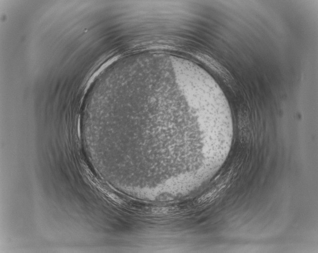 X0000071840790200607290106