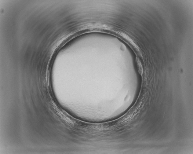 X0000071840791200607290106