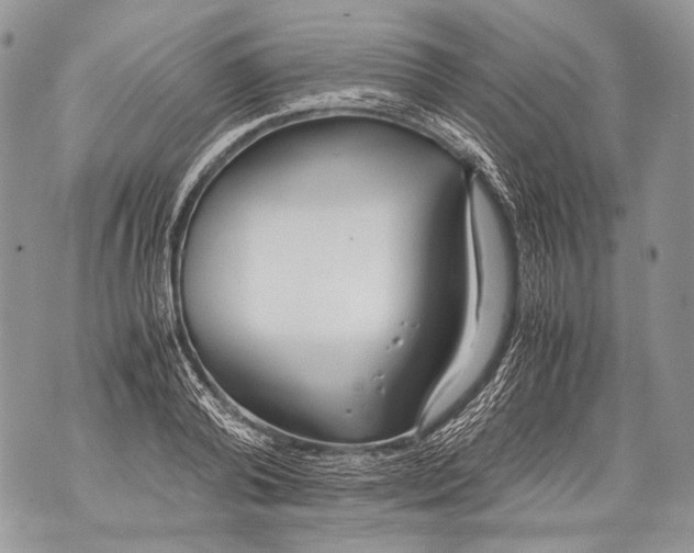 X0000071840792200607290106