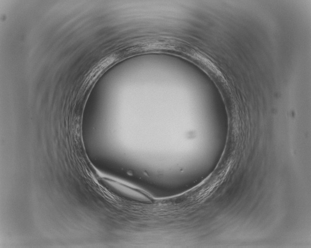 X0000071840793200607290106