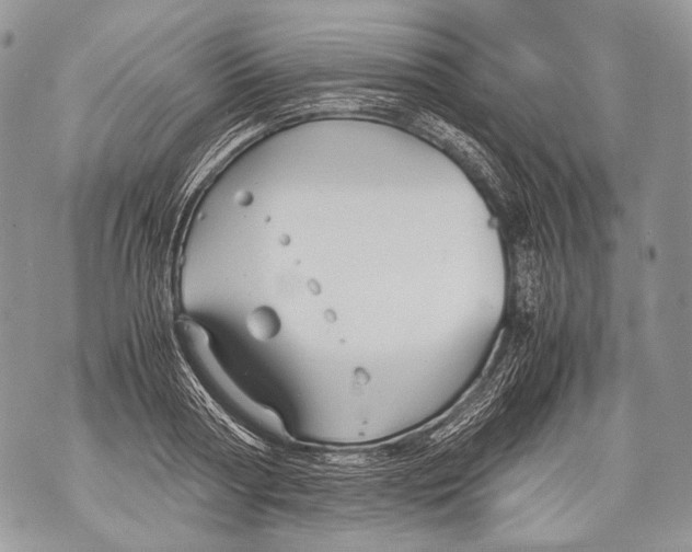 X0000071840794200607290106