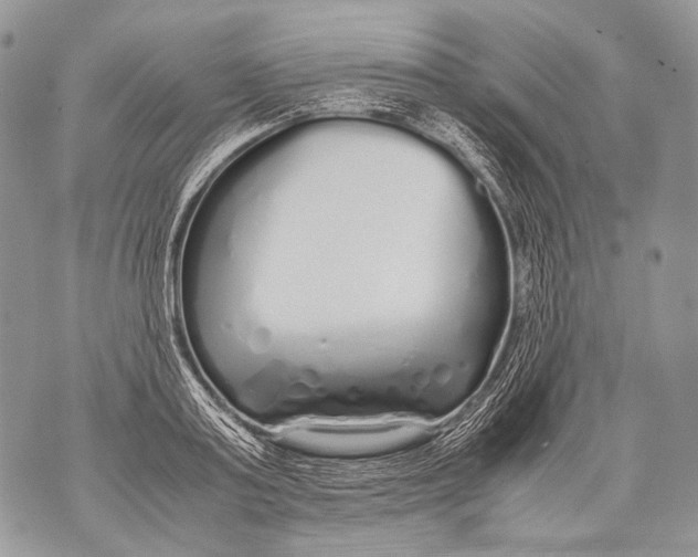 X0000071840795200607290106