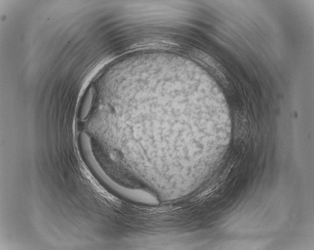 X0000071840796200607290106