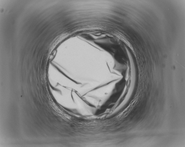 X0000071840797200607290106