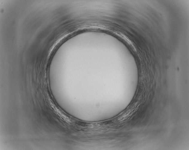 X0000071840799200607290106