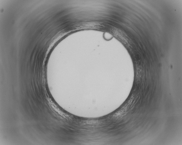 X0000071840800200607290106