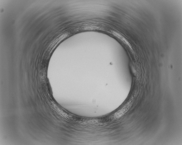 X0000071840801200607290106