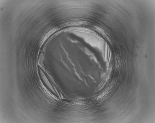 X0000071840802200607290106