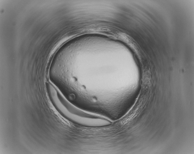 X0000071840803200607290106