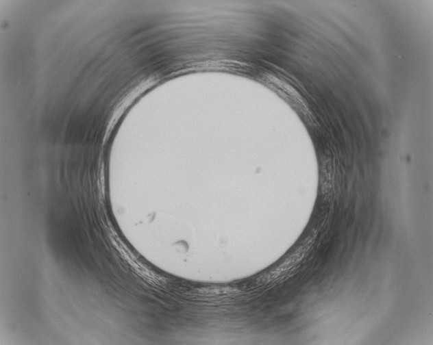 X0000071840804200607290106