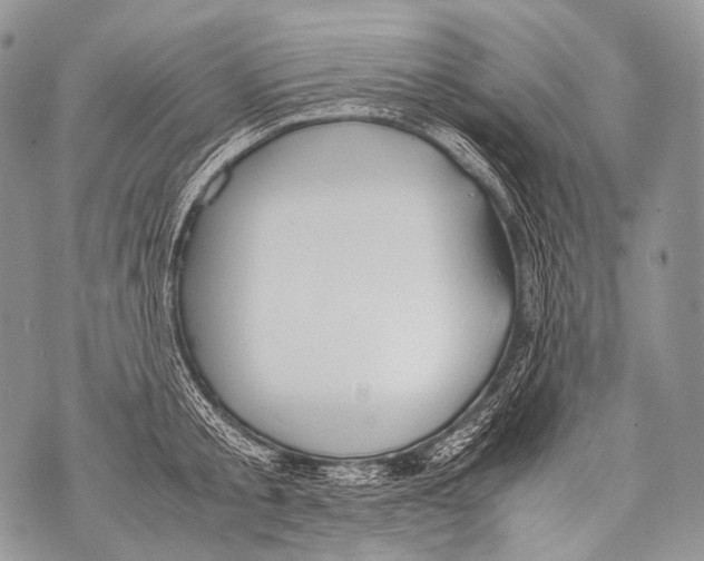 X0000071840805200607290106