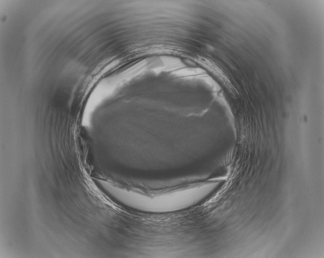 X0000071840806200607290106