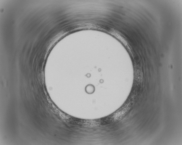 X0000071840807200607290106